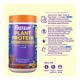 Fast&Up Plant Protein Weight Management Powder - Creamy Chocolate 450 gm - Weight Gain