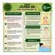 Morpheme Remedies Pure Virgin Jojoba Oil (ColdPressed) 120 ml - Hair Oils