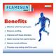 Flamisun Pain Relief Spray 60 ml - Pain Relief Spray