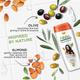 Nisha Shampoo - Almond & Olive Actives 180 ml - Shampoos