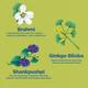 Foresta Organics Brain Health Vegan Capsule 60's - Speciality Medicines