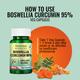 Morpheme Remedies Boswellia Curcumin 95% 500mg Veg Capsule 60's - Herbal Dietary Supplement