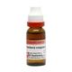 Dr. Reckeweg Berberis Vulgaris 1X Q Liquid 20 ml - Mother Tincture
