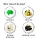 Greenberry Organics Brazilian Rainforest White Clay Mask 100 gm - Masks & Peels
