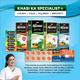 Sapat Ayusas Immunity Booster Syrup 200 ml - Cough Syrup