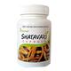 Ayursun Shatavari Capsule 50's - Pure Herbs