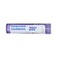 Boiron Sanguinaria Canadensis 6C Multi Dose PELLETS 4 GM - Triturations (Homeo Tablets)