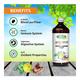 Swadeshi Ayurved Ayushman Yog Juice 500 ml - Ayurvedic Juices