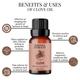 Essentia Extracts Pure Essential Oil - Clove 15 ml - Essential Oils