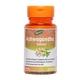 Shreys Ashwagandha (Withania Somnifera) 500 mg 60's - Ashwagandha
