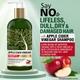 Morpheme Remedies Apple Cider Vinegar Shampoo 300 ml - Shampoos