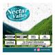 Nectar Valley Wheatgrass Powder 250 gm - Health Products