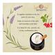 Bioayurveda Basics Nourishing Lift Night Face Creme 120 gm - Night Cream