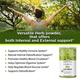 Organic Veda Neem Leaf Powder 454 gm - Pure Herbs
