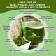 Organic Veda Barley Grass Juice Powder 227 gm - Pure Herbs