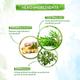 Mamaearth Hair Oil - Tea Tree 250 ml - Hair Oils