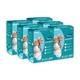 Dignity Premium Adult Diapers - M (Pack of 6 X1 0's) - Adult Diapers & Pads
