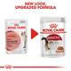 Royal Canin Instinctive Adult Cat Food - Gravy (Pack of 12 x 85 gm) 1's - Petfood