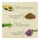 Bioayurveda Basics Avocado Intense Restore Hand Creme 120 gm - Hand Creams