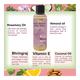 Zenvista Meditech Root Restore Hair Tonic 100 ml - Hair Oils