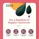 Zolv Kadha Sugar Free Instachews Tablet 45's - Herbal Dietary Supplement