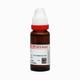Dr. Reckeweg Arnica Ø Liquid 20 ml - Dilutions