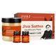 Jiva Ayurveda Health Care Pack - Obesity - Speciality Medicines