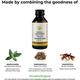 Kerala Ayurveda Sahacharadi Thailam 200 ml - Speciality Medicines