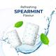 NICOSURE 4MG SUGAR FREE SPEARMINT FLAVOUR Gum 8's - Smoking cessation