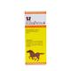 Dr.Wellmans Elixirvita-8 Tonic 500 ml - Speciality Medicine