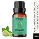 Essentia Extracts Pure Essential Oil - Bergamot 15 ml - Essential Oils