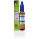 SBL Asafoetida 1M Liquid 30 ml - Dilutions
