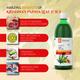 Krishna's Herbal & Ayurveda Papaya Leaf Juice 500 ml - Ayurvedic Juices