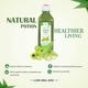 Axiom Louki Amla Juice 1 litre - Ayurvedic Juices