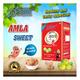 Swadeshi Ayurved Digstv Amla Sweet 400 gm - Digestive Care
