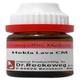 Dr. Reckeweg Hekla Lava CM Liquid 11 ml - Dilutions