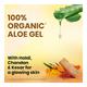 Boro Plus Body Gel - Aloe Vera with Haldi, Chandan & Kesar 60 ml - Personal Care (Ayush)