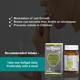 HealthBest VitDBest 600 IU Softgel Capsule 60's - Multi-Vitamins