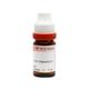 Dr. Reckeweg Dulcamara 30 Liquid 11 ml - Dilutions