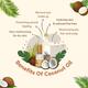 Essentia Extracts Pure Cold Pressed Oil - Coconut (Pack of 2 x 500 ml) 1's - Massage Oils