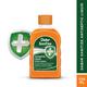 Dabur Sanitize Antiseptic Liquid 125 ml - Personal Care (Ayush)