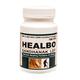 Ayursun Healbo Sandhanak Lep Powder 100 gm - Pain Relief (Ayush)