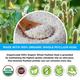 Organic Veda Psyllium Husk Powder 227 gm - Pure Herbs