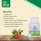 Ayukarma Medrasayan Vati 60's - Speciality Medicines