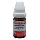 Dr. Willmar Schwabe Absinthium 200 CH Drops 10 ml - Dilutions