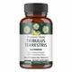 Organic Veda Tribulus Terrestris Extra Strength Veg Capsule 120's - Sexual Healthcare
