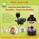 Basic Ayurveda Jamun Ras 500 ml - Ayurvedic Juices