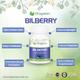 VitaGreen Bilberry Capsules 60's - Herbal Dietary Supplement