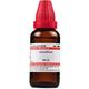 Dr. Willmar Schwabe Absinthium 30CH Drops 30 ml - Homeopathic Drops