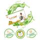 Turmgel Tumeric Lozenge - Tulsi (Pack of 10 x 10's) - Sore Throat Lozenges